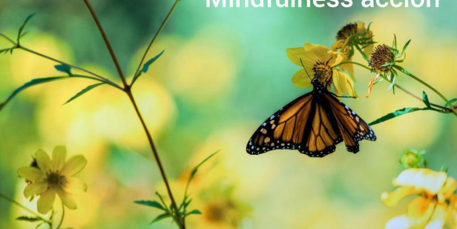 Curso de mindfulness para el estrés y la ansiedad