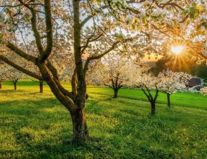 ¡Bienvenida a la primavera! Hagamos fluir nuestra energía interior