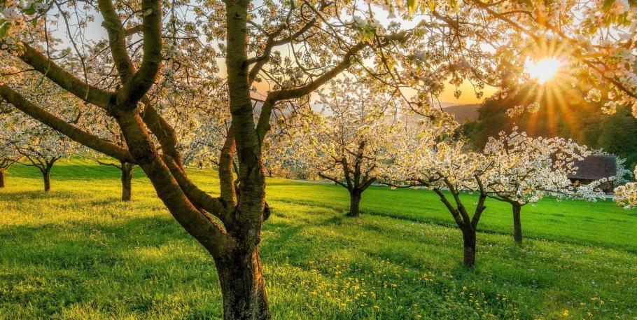 ¡Bienvenida a la primavera! Hagamos fluir nuestra energía interior