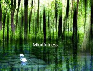 Taller de introducción al mindfulness