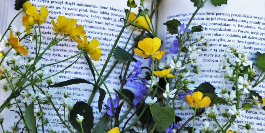 Caminando con las flores