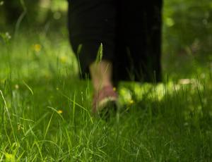 Caminata Flores de Bach en la naturaleza