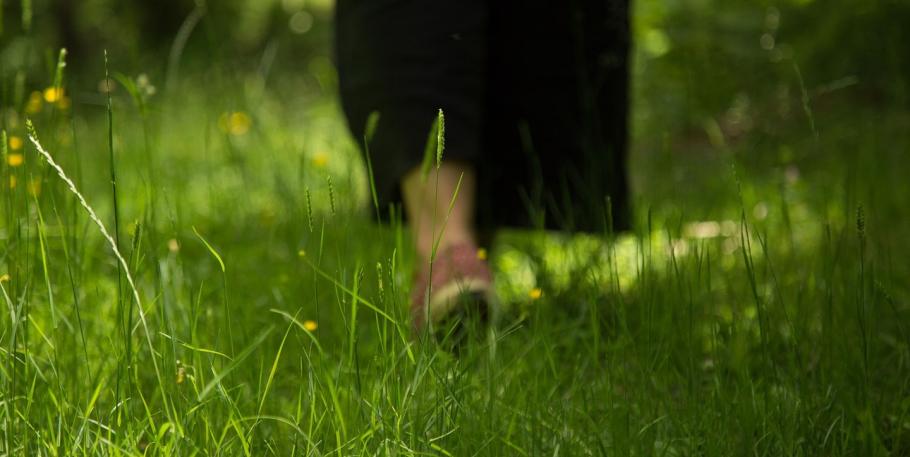 Caminata Flores de Bach en la naturaleza