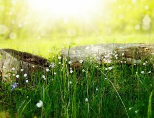 Taller de mindfulness