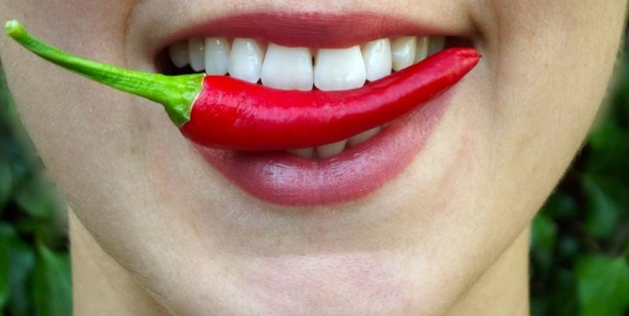 Taller de nutrición