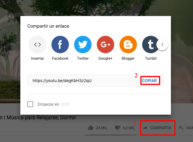 URL del vídeo en Youtube