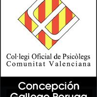 Concepción Gallego Peruga