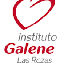 Instituto Galene Las Rozas