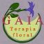 Centro Gaia de Terapia Floral
